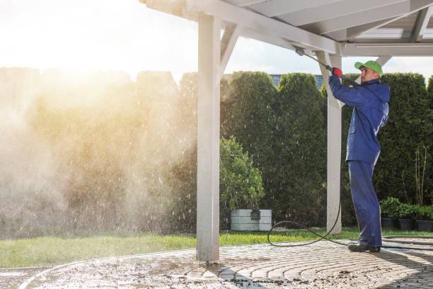 Best Driveway Pressure Washing  in Avilla, IN